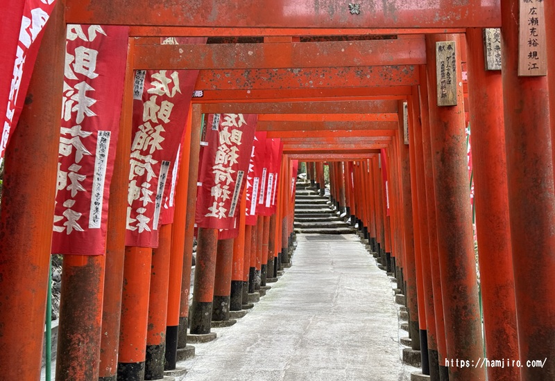 幾つもの連なる朱色の鳥居