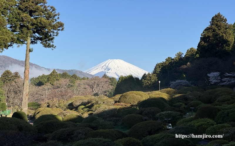 冠雪した富士山