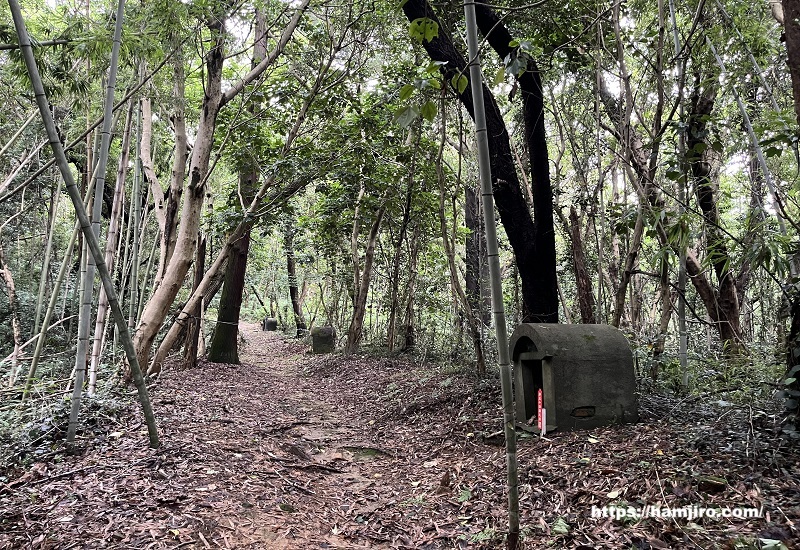 秋葉山へ向かう山道
