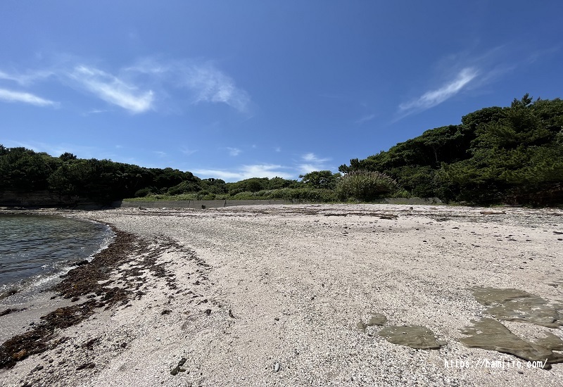 紫の砂浜
