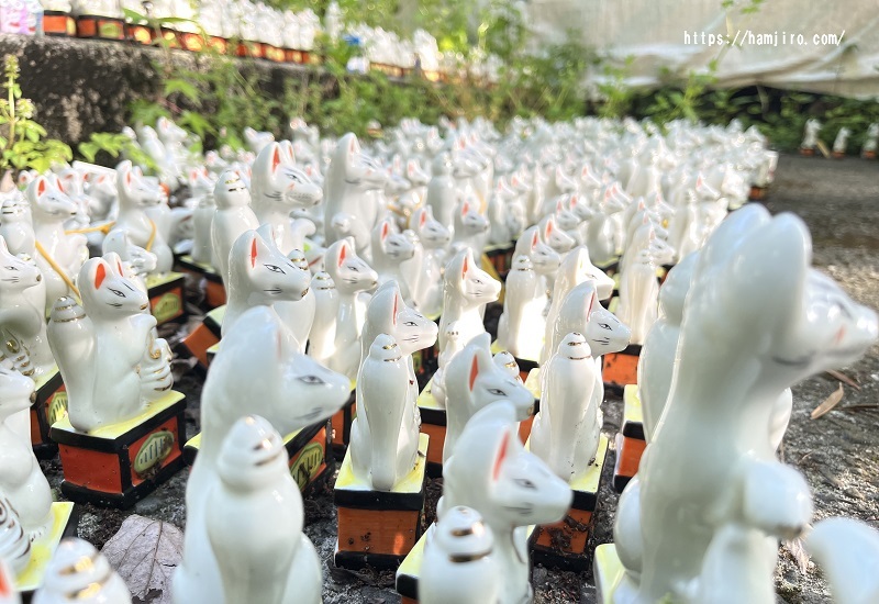 無数の白狐