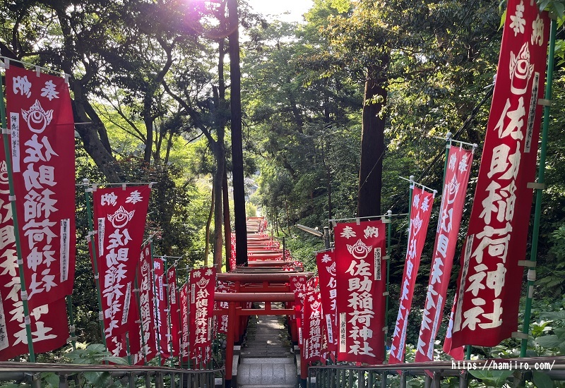 参道の上から見える鳥居の景色