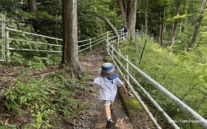 遊歩道を歩く子供