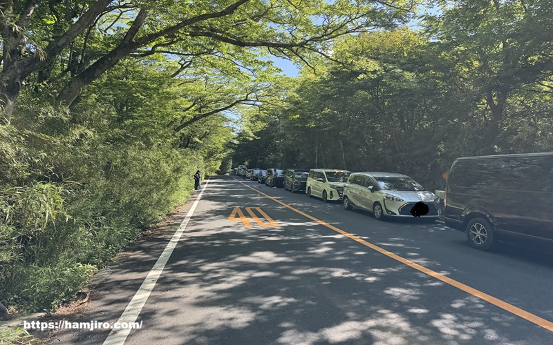 国有林方面(県道734号)ピーク時渋滞