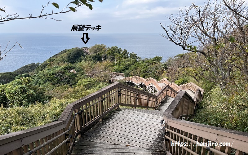 手をつなぐみちから見える展望デッキ