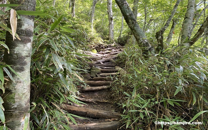 木道階段の登山道