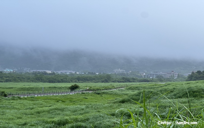 仙石原すすき草原の雨模様の風景